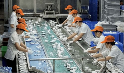 深圳餐具消毒服务机构技术领先,有效推广循环经济